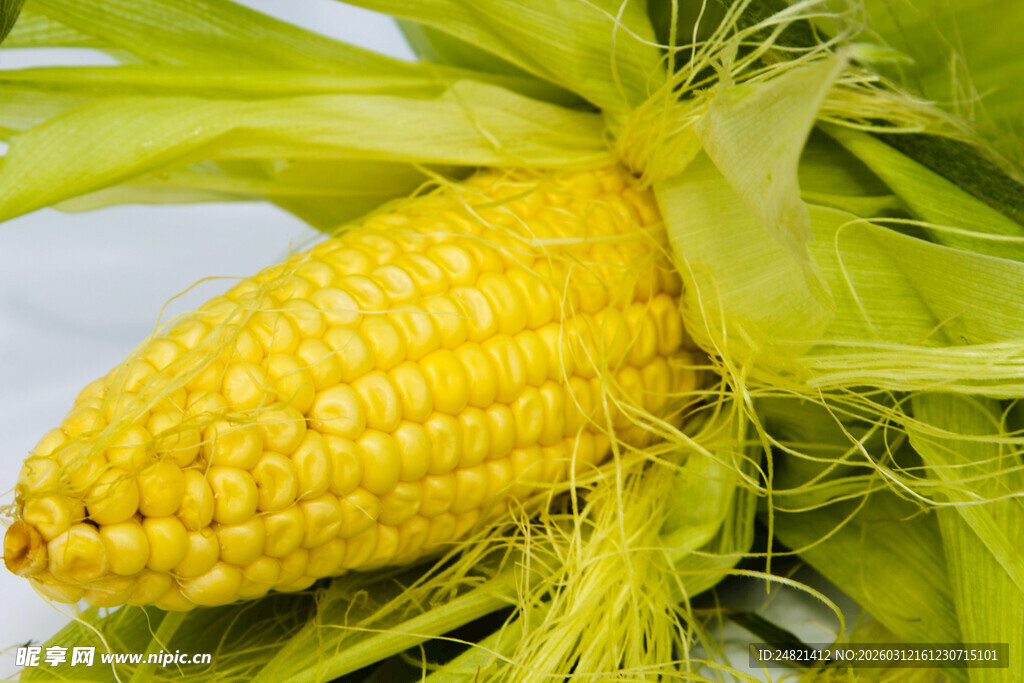 新鲜饱满的金黄玉米