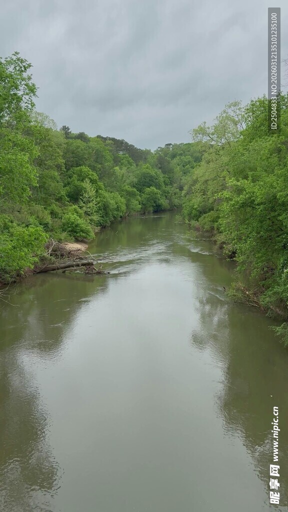 宁静河畔绿意盎然