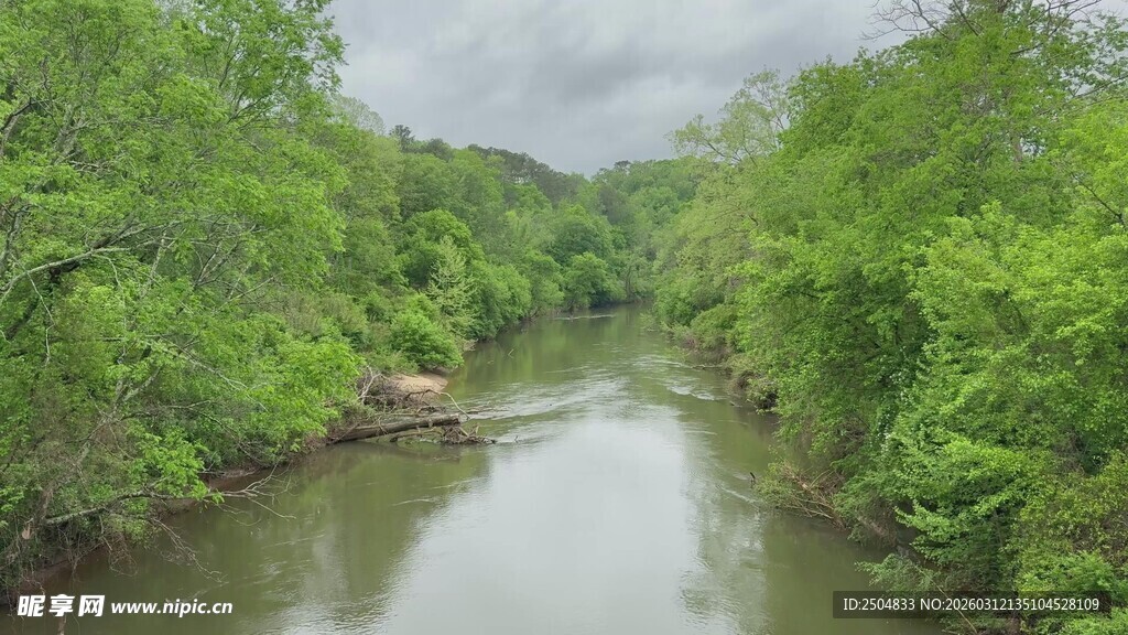 林间河流 绿意盎然美景