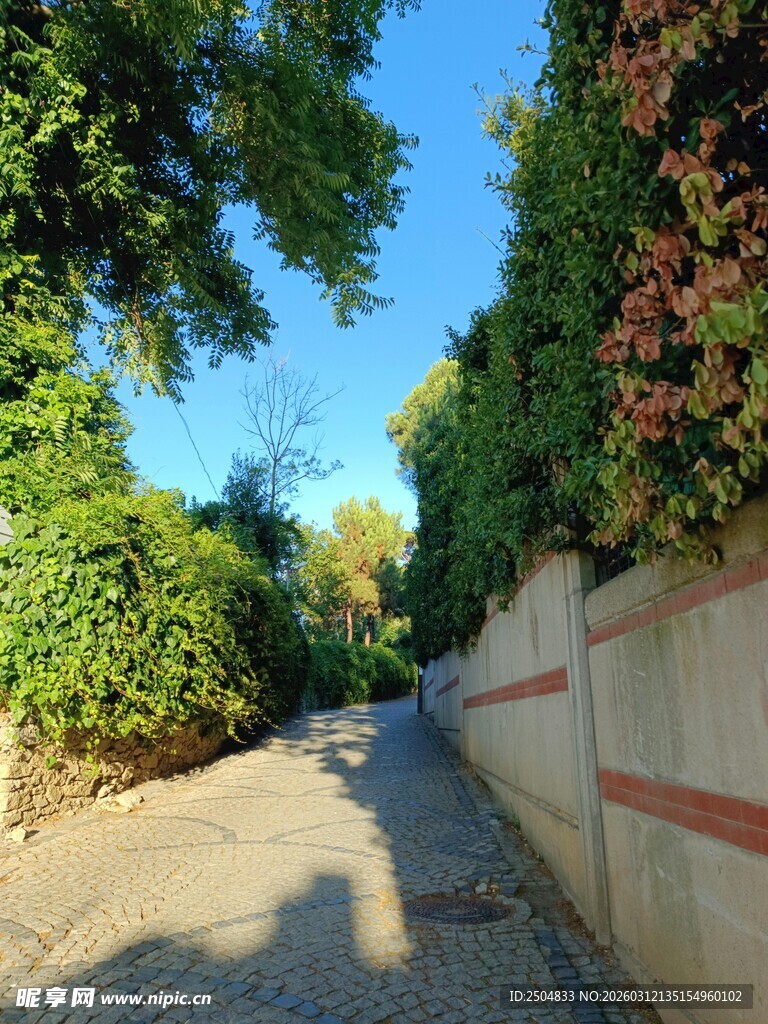 阳光洒落的幽静绿荫小道