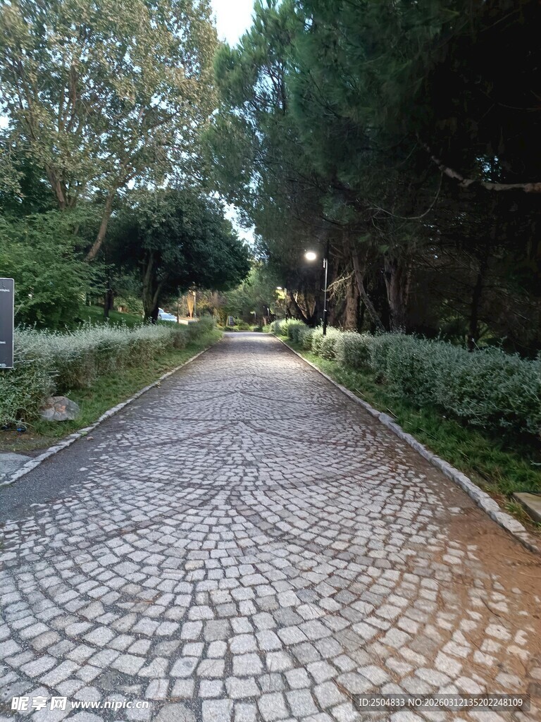 鹅卵石铺就的静谧林间小道