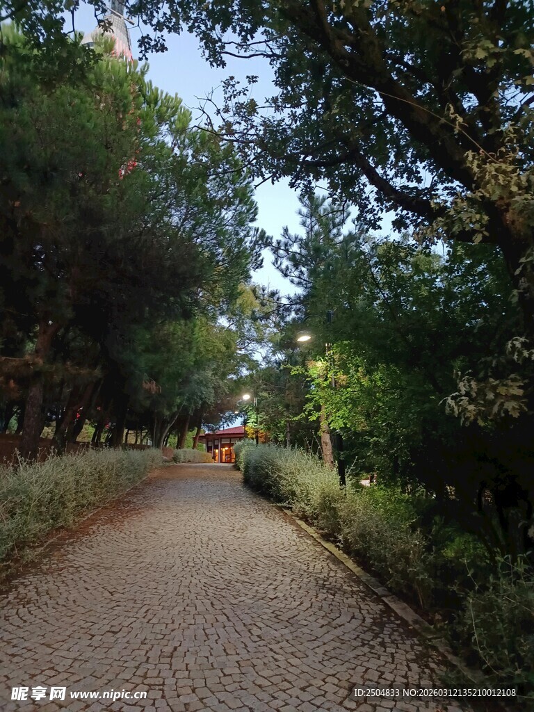林间幽静小路