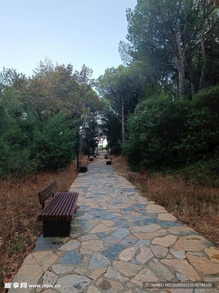 林间石径 静谧休憩之所