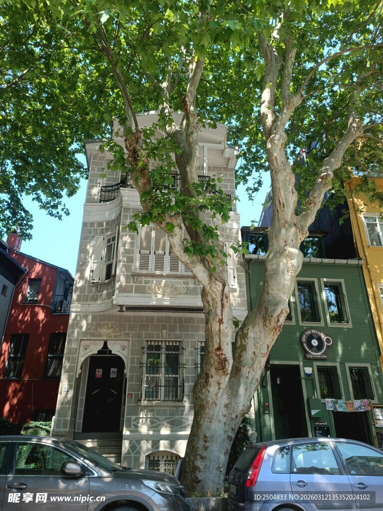 街道旁的欧式建筑与大树