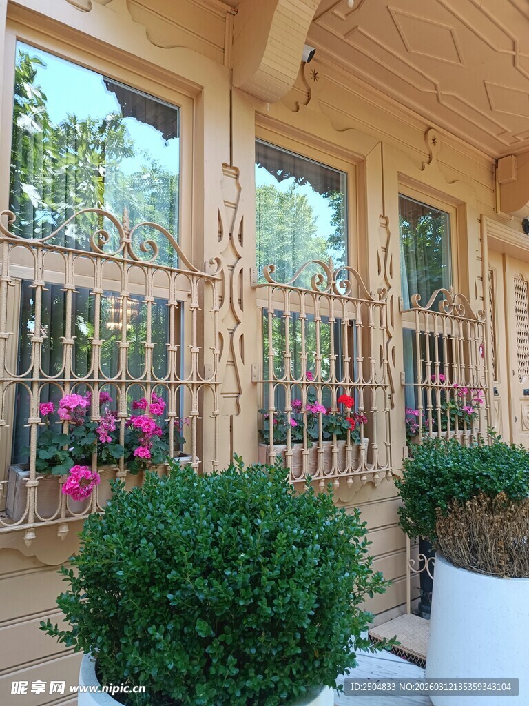 木质阳台的绿植花卉景观