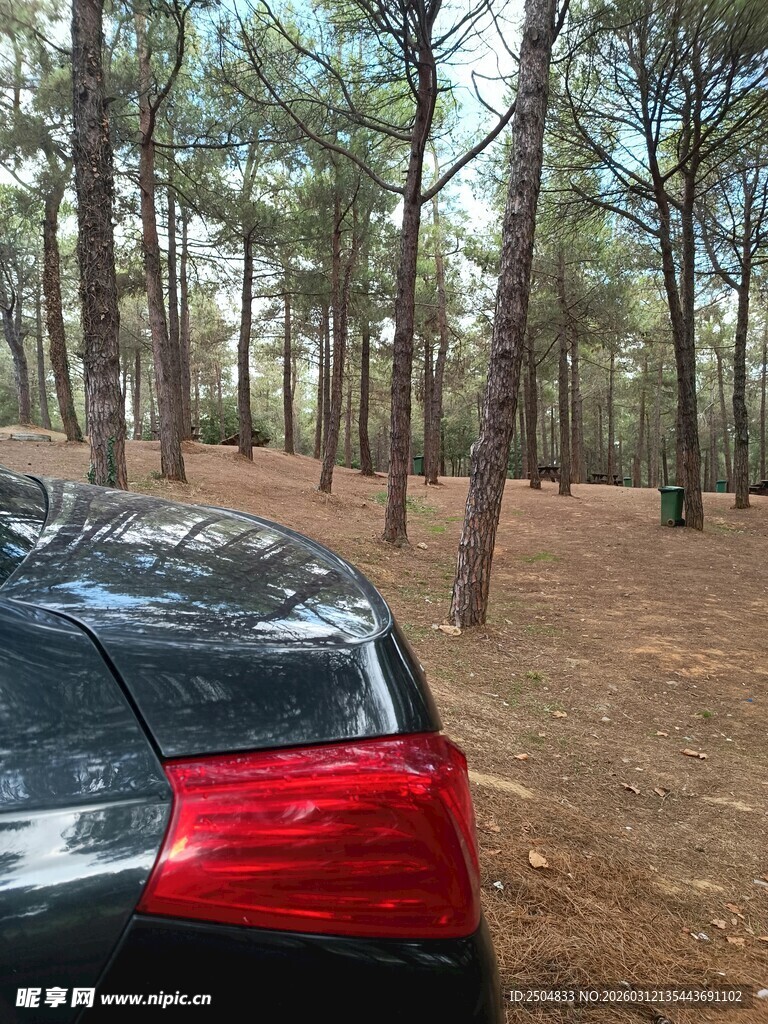 林间停放的黑色汽车