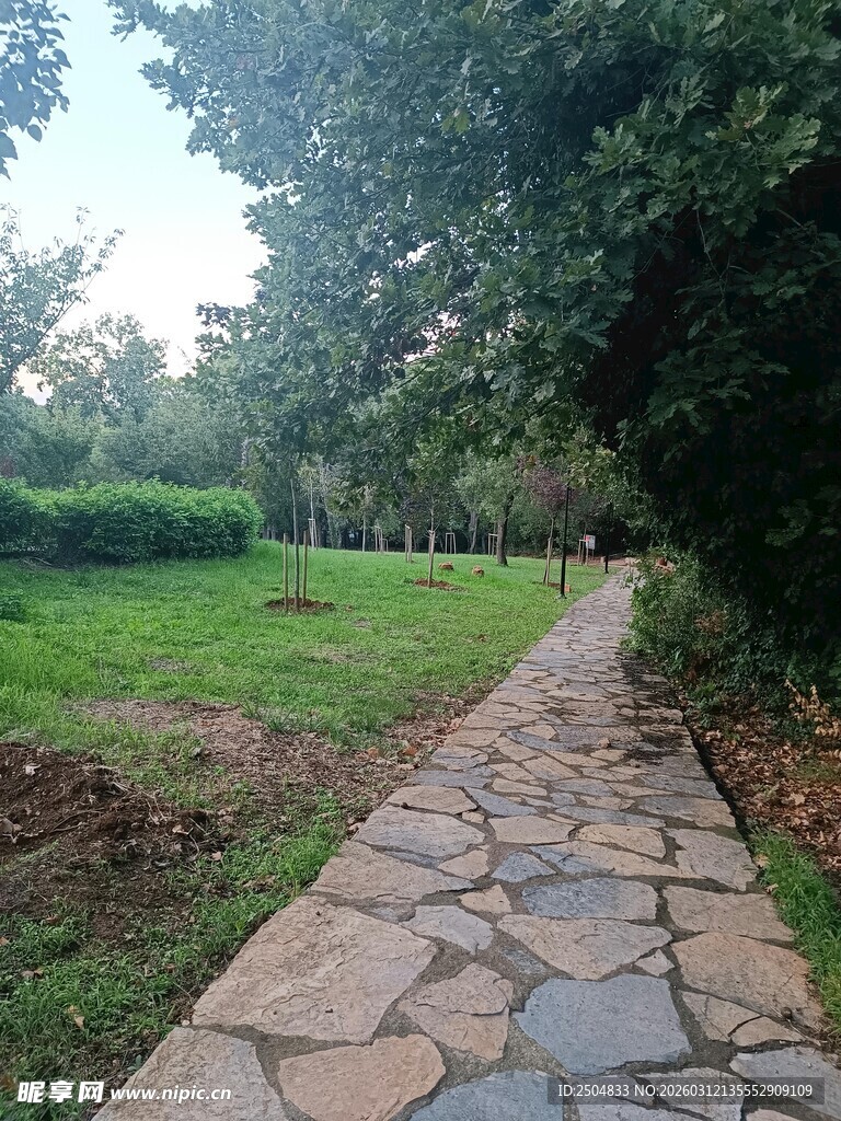 林间碎石小径 自然景致