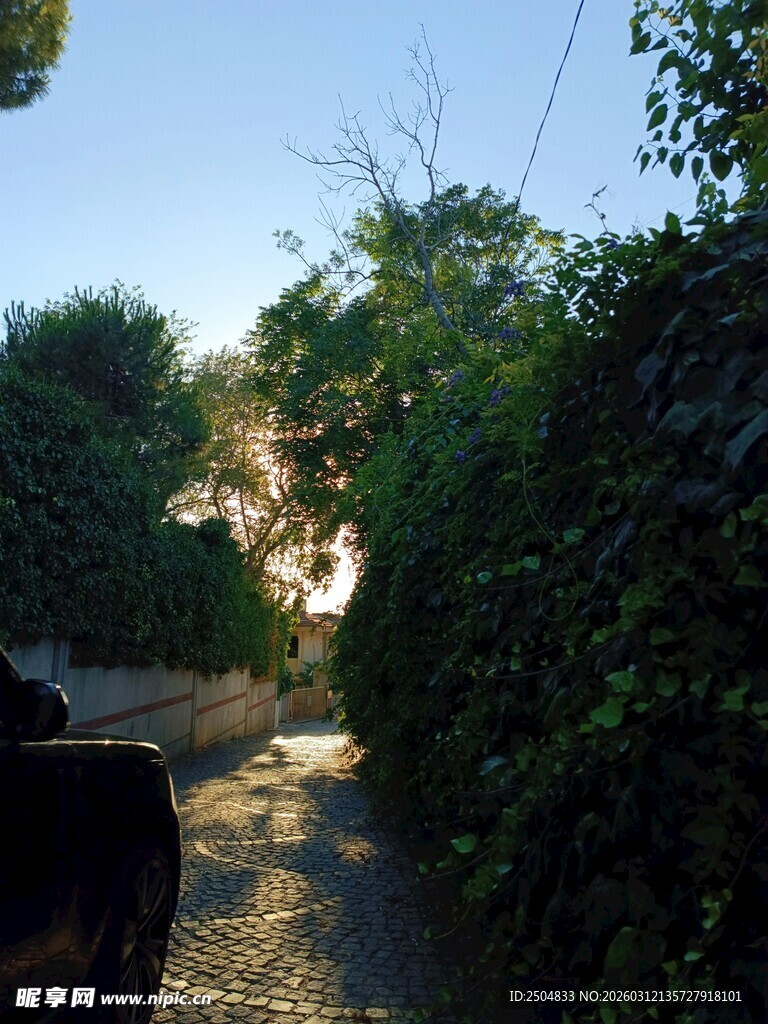 阳光洒落的林间小道