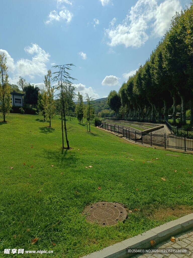 绿意盎然的公园景观