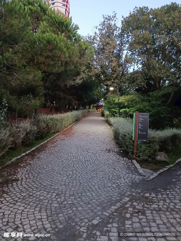 鹅卵石小径 静谧自然景致