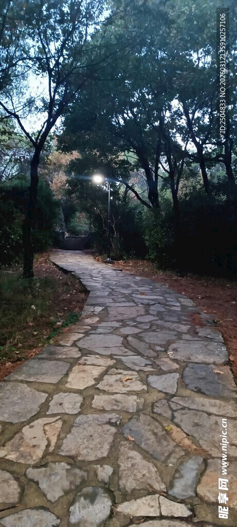 林间石板小径 静谧美好