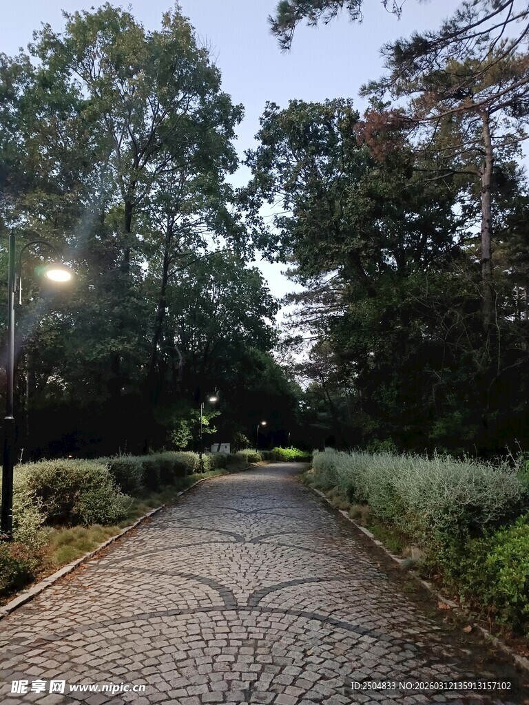 林间碎石小径 静谧景致