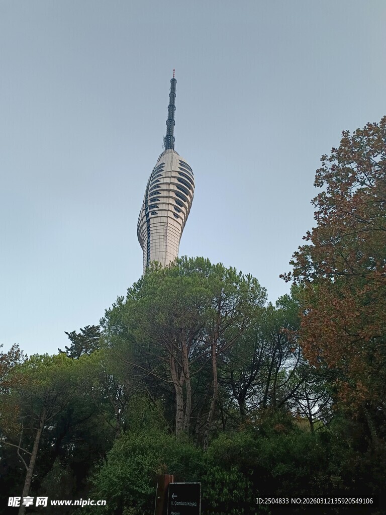 高耸塔楼隐于葱郁树林间