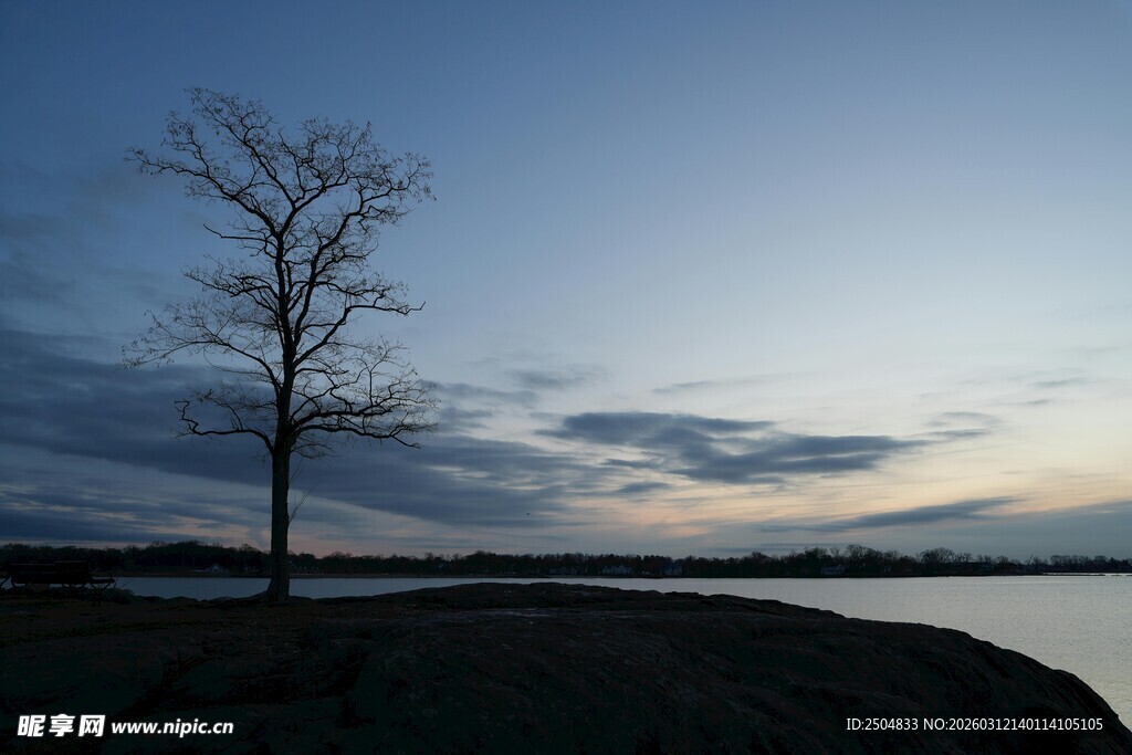 湖畔孤树之静谧黄昏