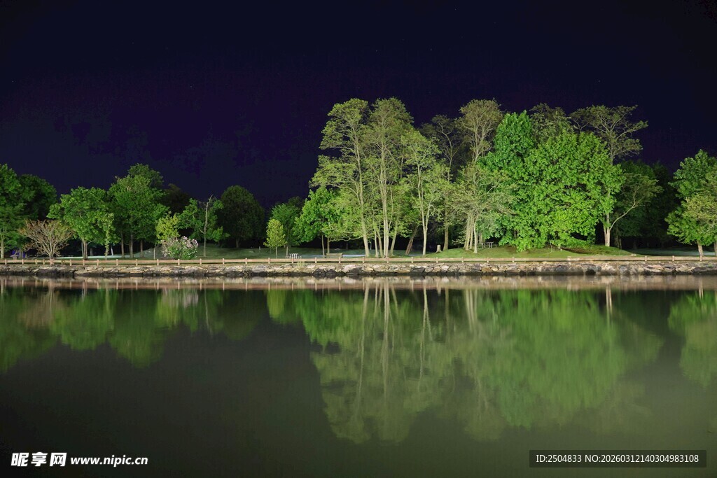 湖畔夜景 树影倒映于水面