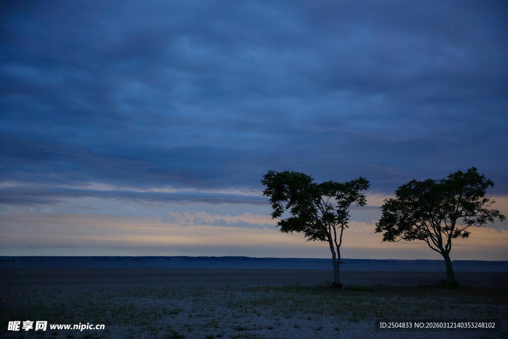 黄昏旷野中的两棵孤树