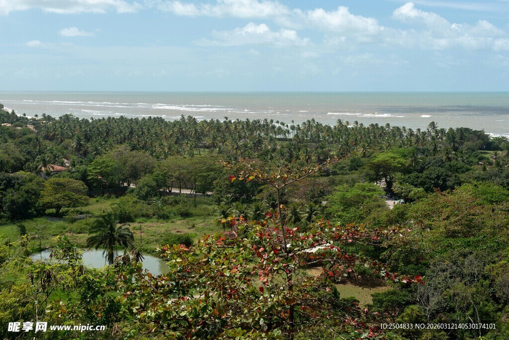 俯瞰绿树环绕的海边美景