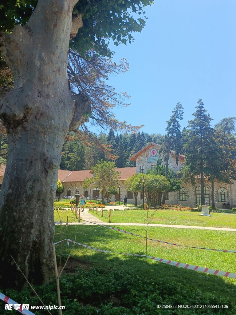 户外绿荫下的开阔景致