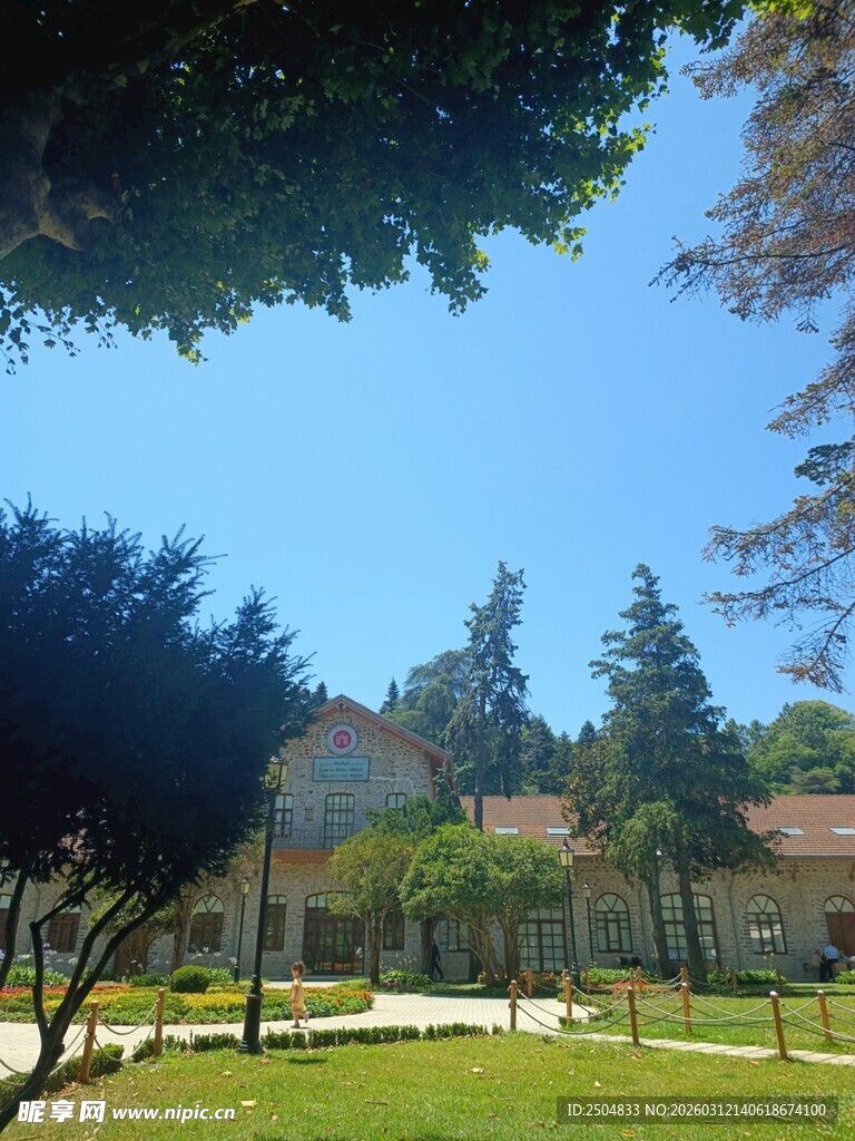 阳光明媚的公园绿地景色