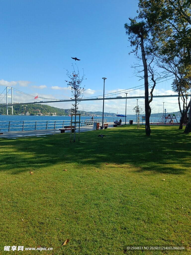 河畔草地与远处桥梁景观