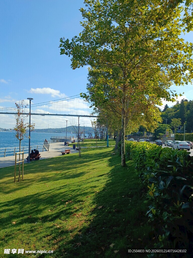 湖畔绿荫下的清新景致