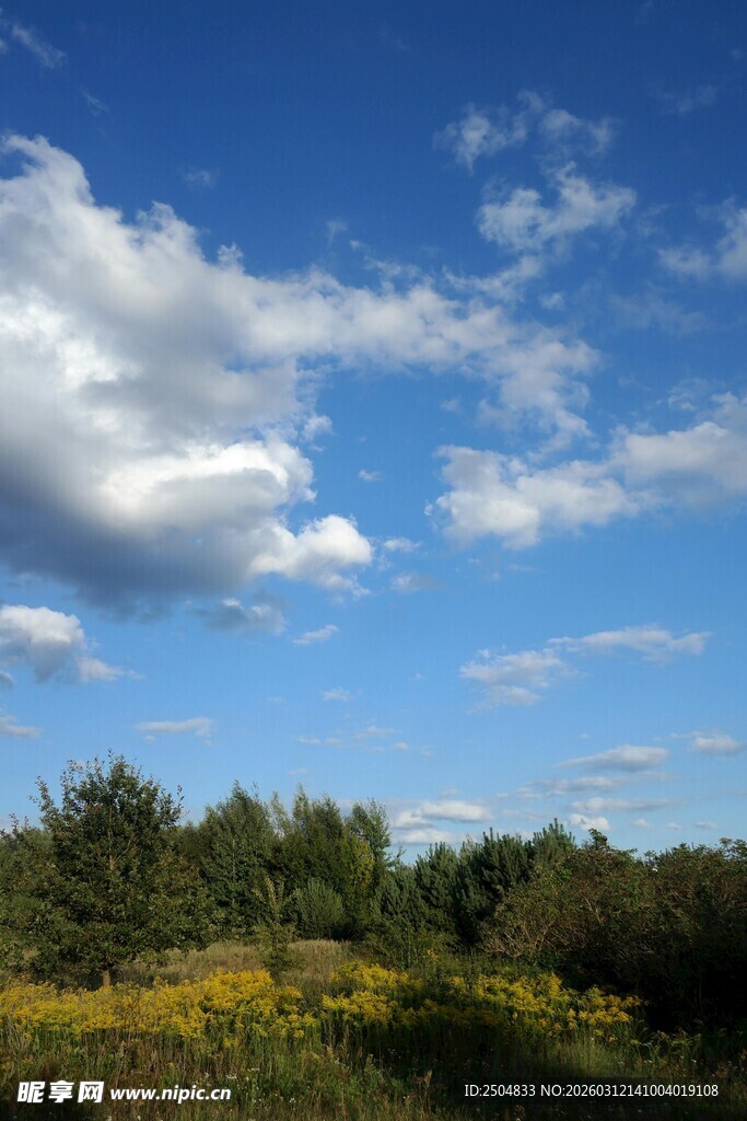 蓝天白云下的绿野风光