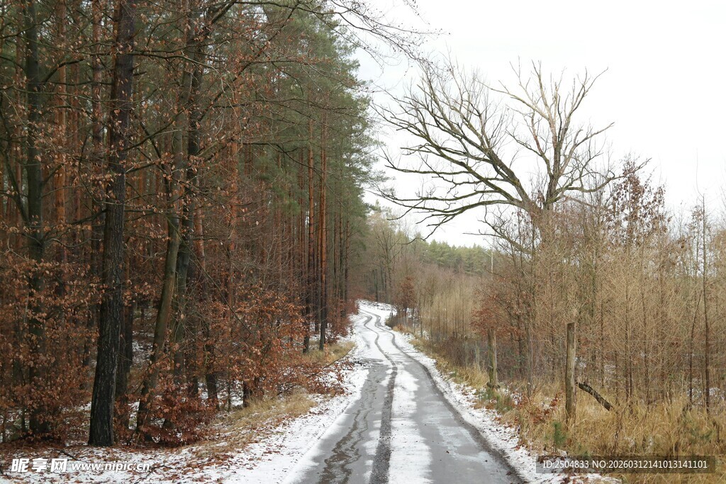 冬日林间雪覆小路
