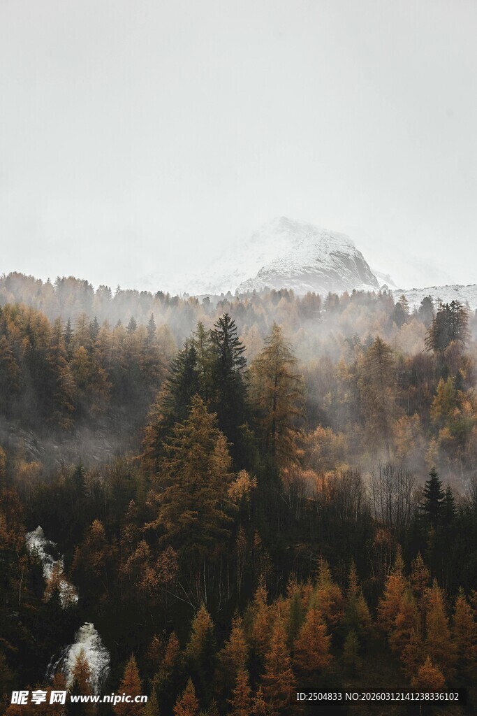 山间秋景 云雾缭绕林木间