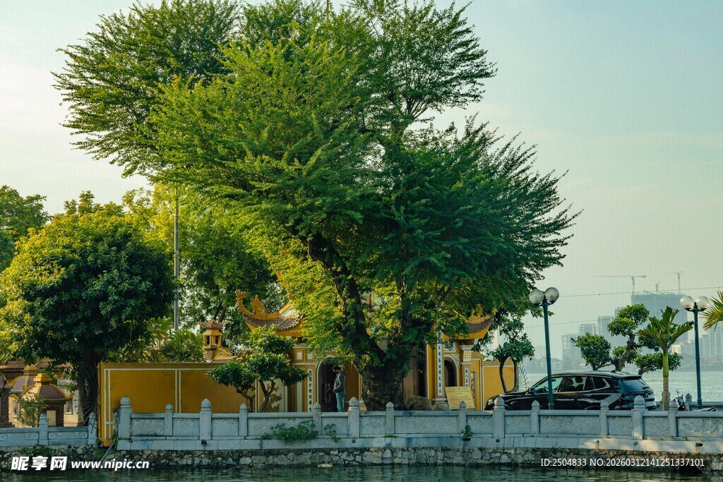 河畔葱郁绿树风景如画