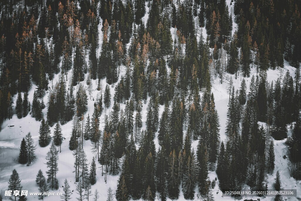 雪覆山林美景