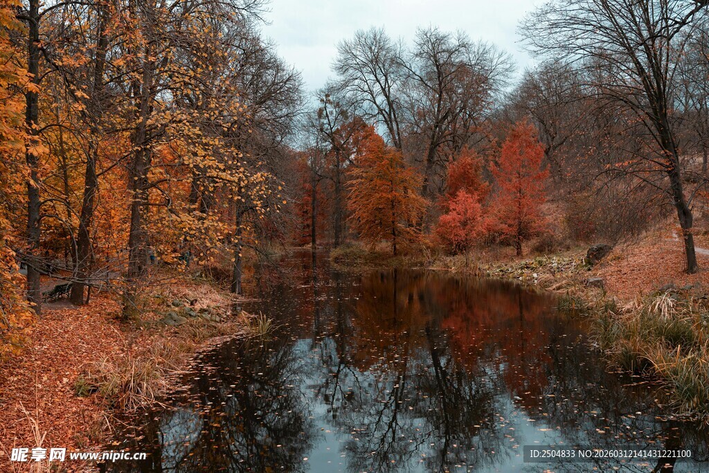 秋日溪边斑斓树林美景