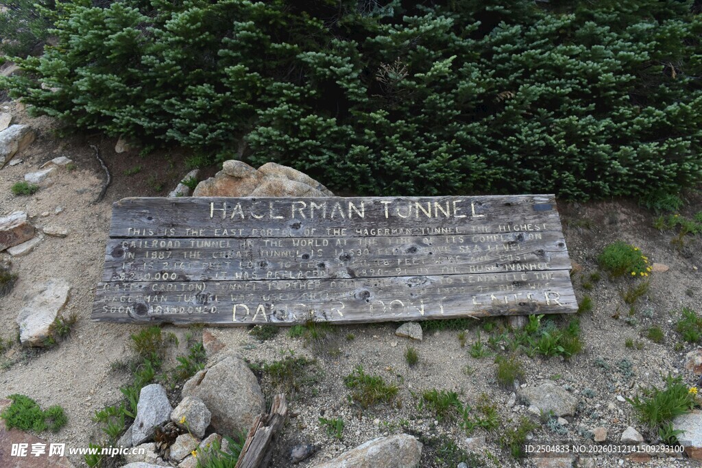 古老石碑立于绿植旁