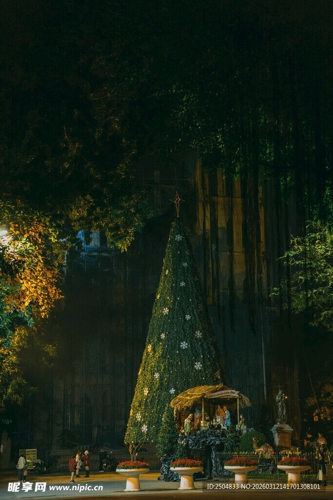 梦幻森林中的璀璨圣诞树