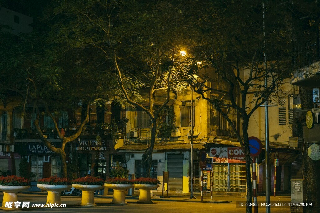 雨夜街边的静谧路灯景象