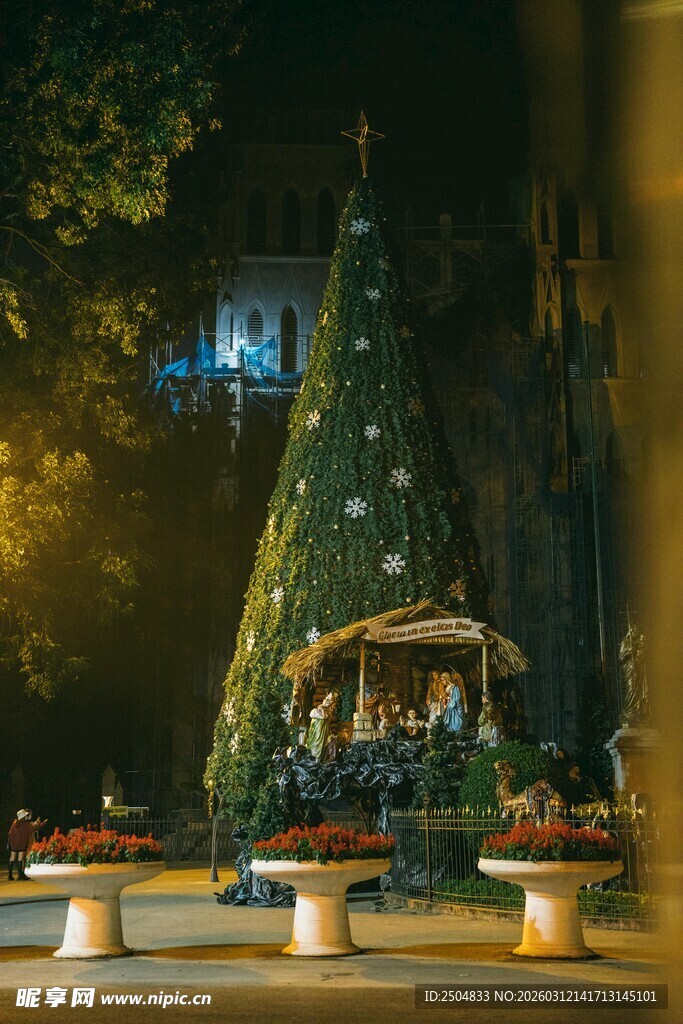 夜晚的璀璨圣诞树景观