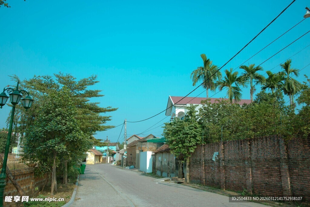 乡村宁静小道风景