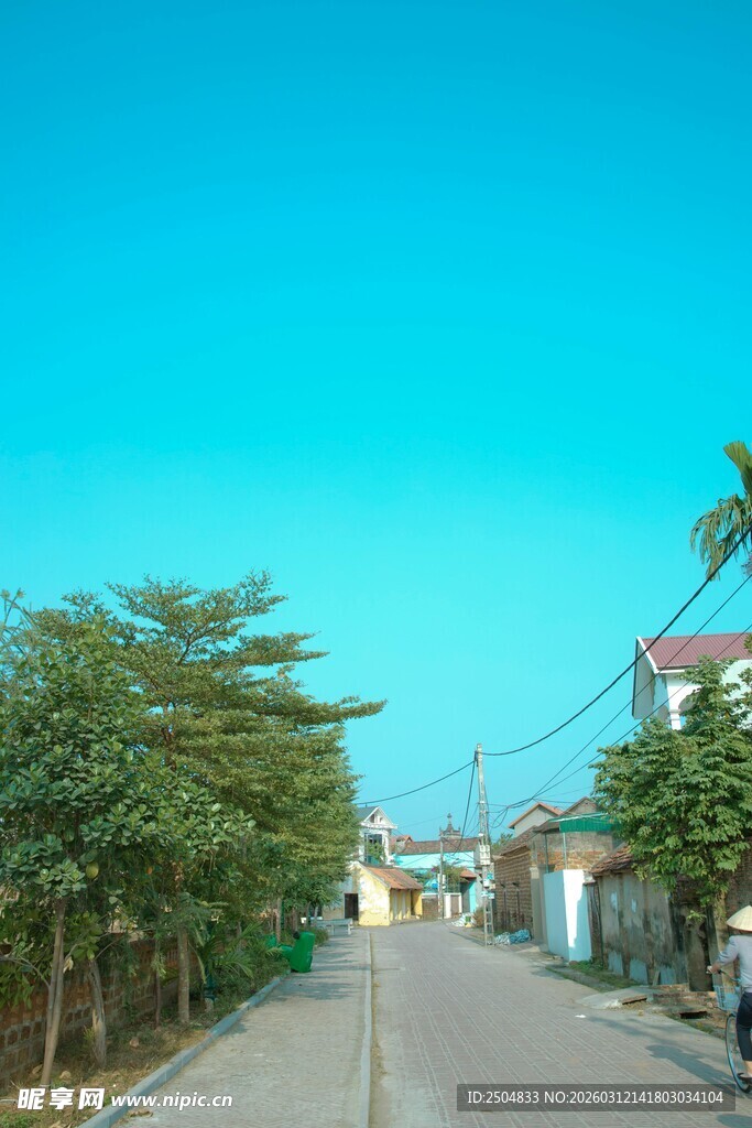 乡村宁静小路 绿树相伴