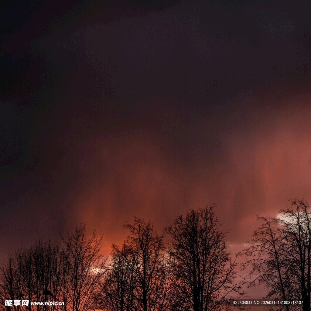 夜幕下的火红天际与树木