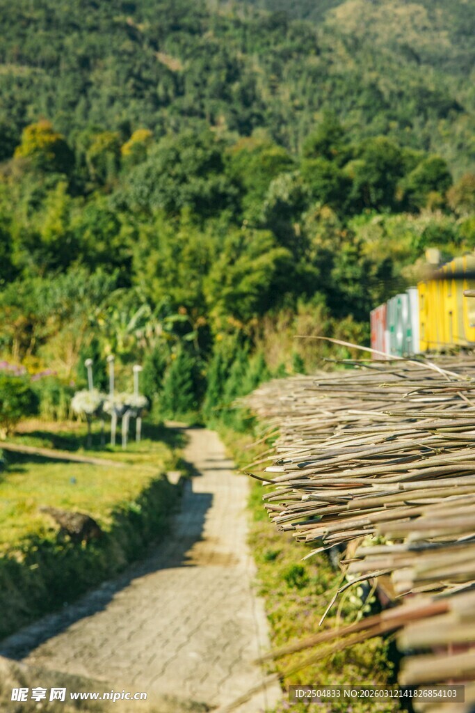 山间小径旁的木屋与柴垛