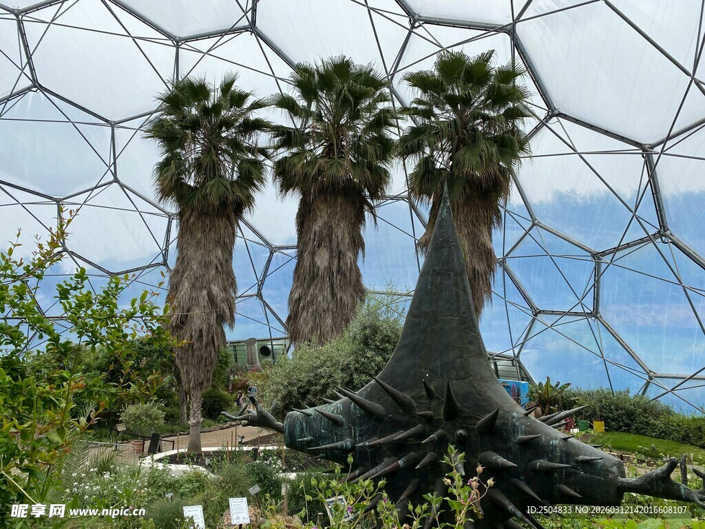 奇特造型的棕榈树景观