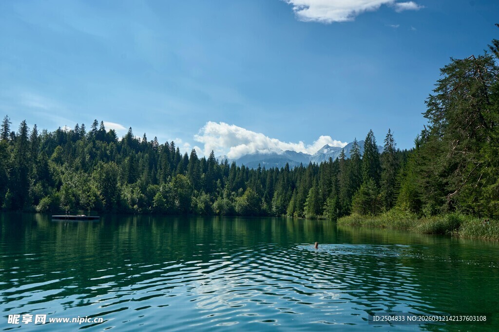 宁静湖畔森林与远处雪山