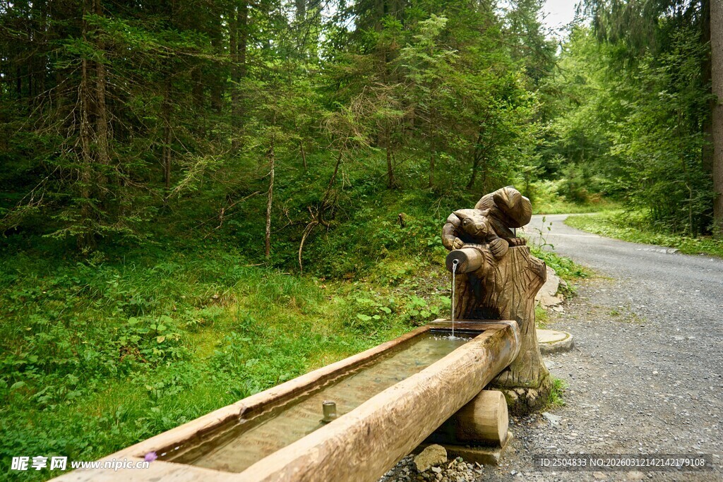 林间木护栏 自然好风光