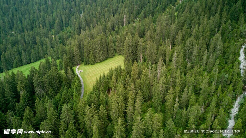 俯瞰葱郁山林与开阔草地