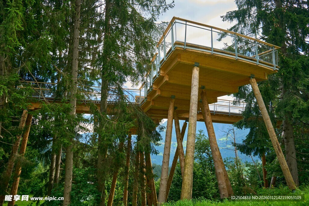 森林中的木质观景台