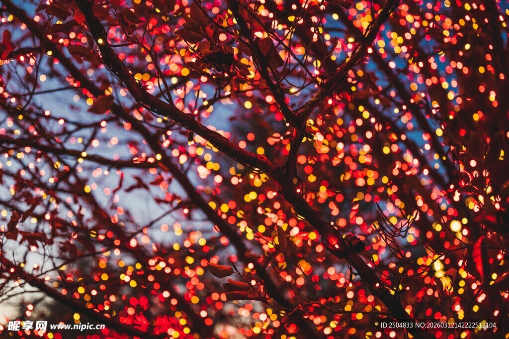 夜幕下闪烁的斑斓树灯