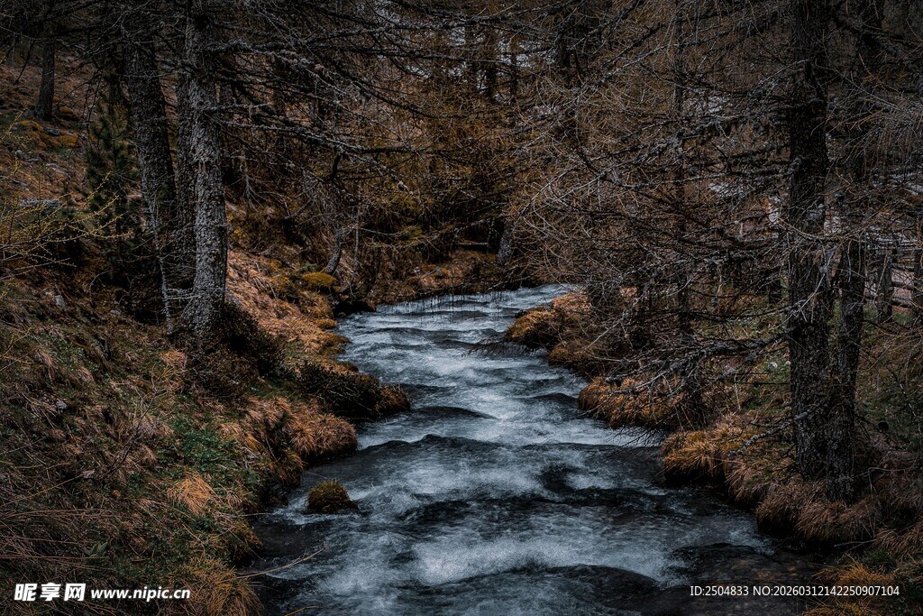 山间流淌的清澈溪流