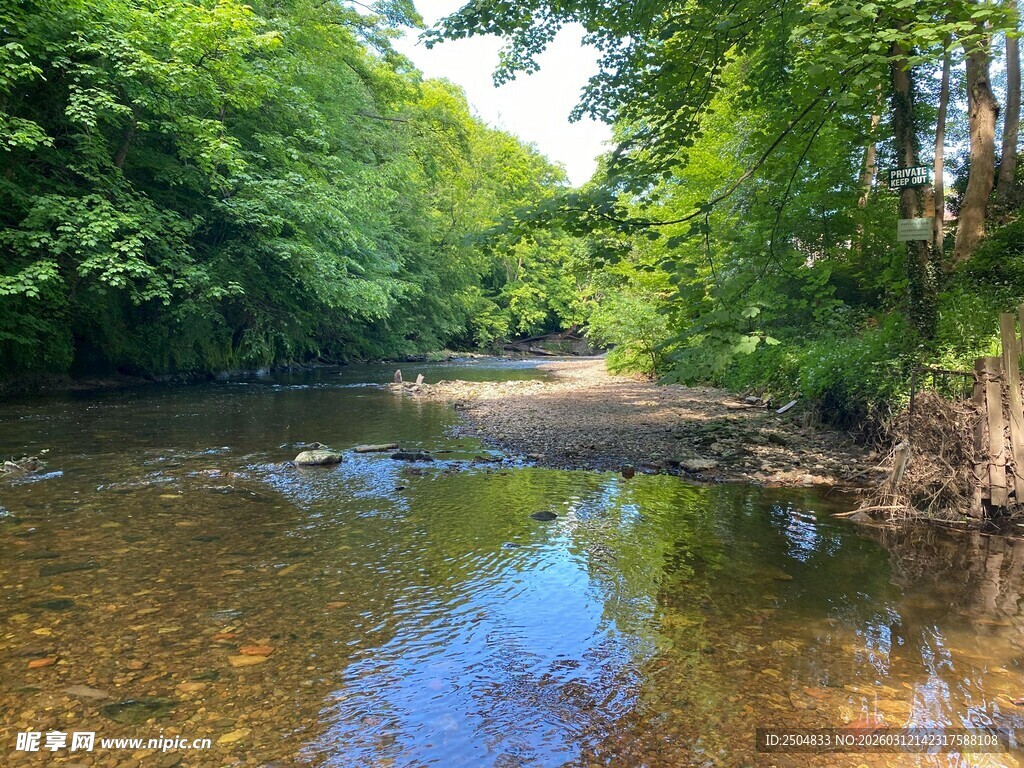 林间清澈溪流美景