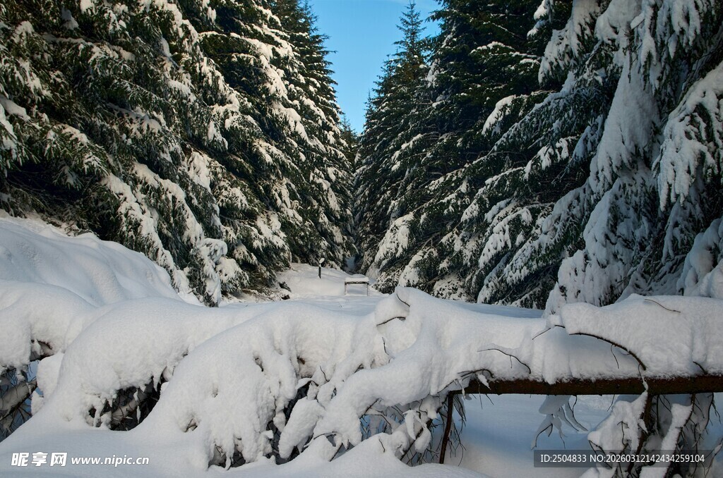 雪覆山林中的古朴木桥