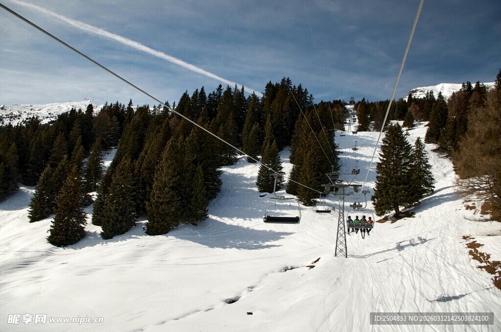 雪山缆车穿梭于松林间