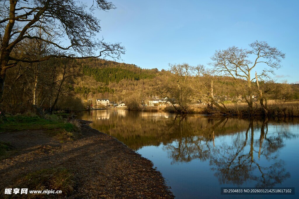 宁静湖畔的自然风光